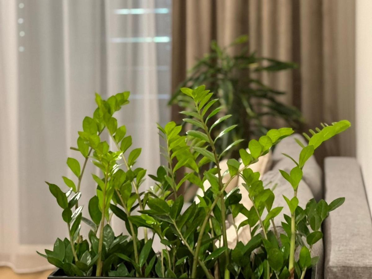 M&M2 Apartment Near Center With Free Parking - Ac Кошице Экстерьер фото